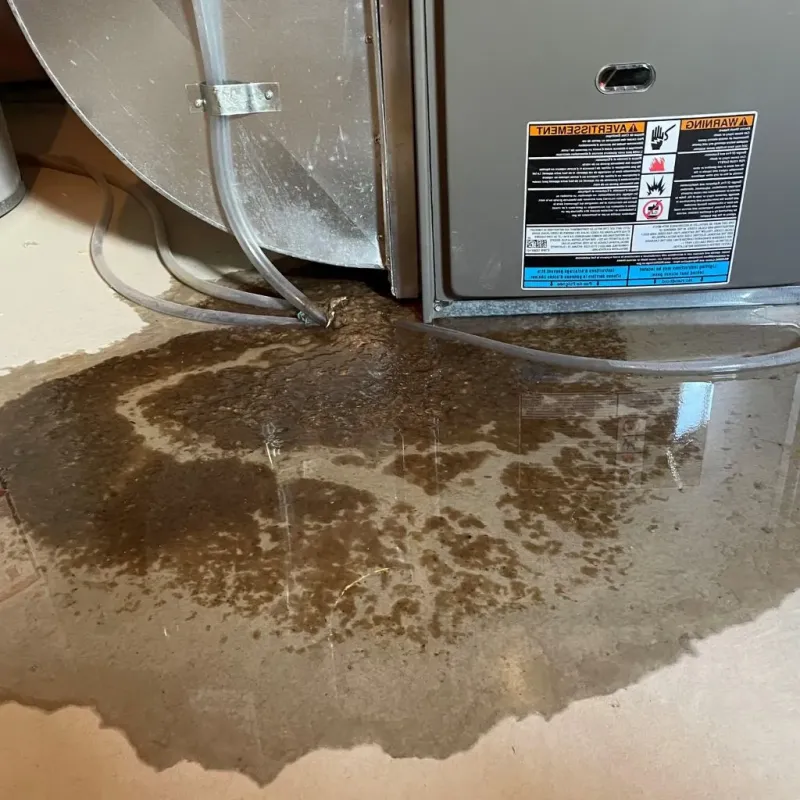 Pipe Burst and Leak Restoration in Brooklyn Heights, NY